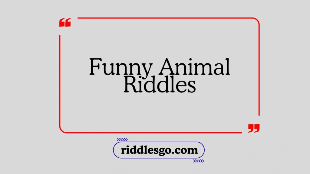 Funny Animal Riddles