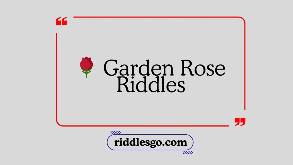 Garden Rose Riddles