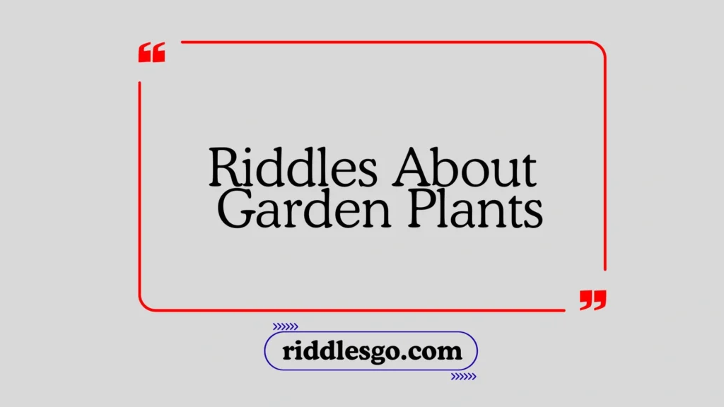 Riddles About Garden Plants