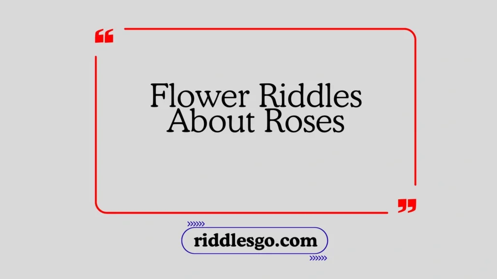 Flower Riddles About Roses