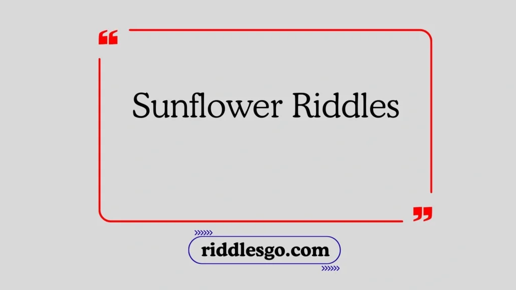 Sunflower Riddles