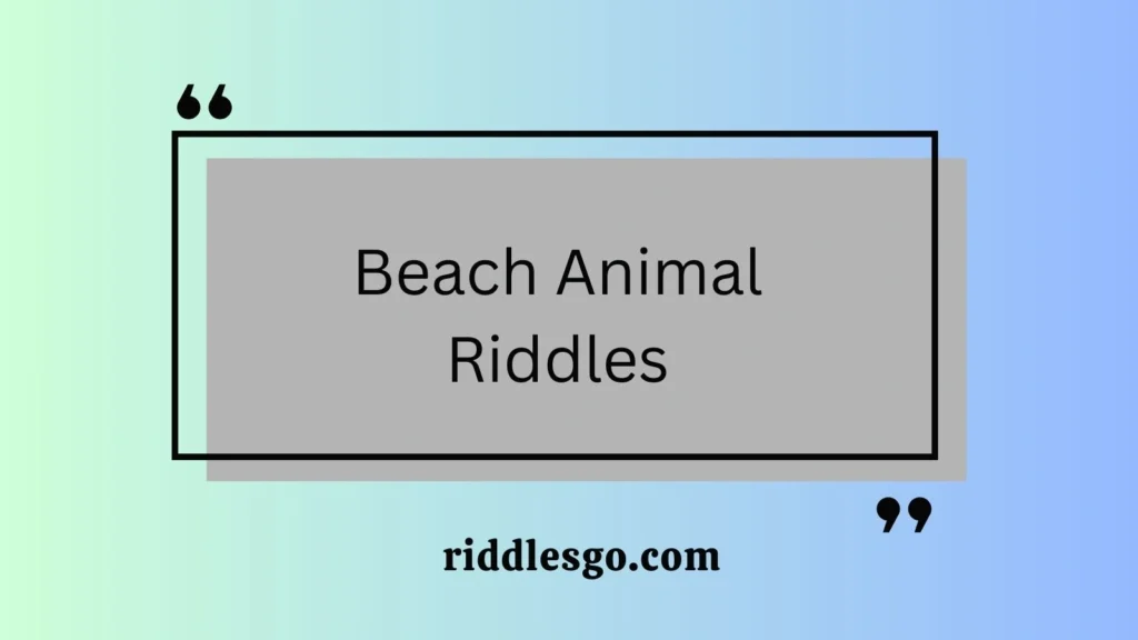 Beach Animal Riddles