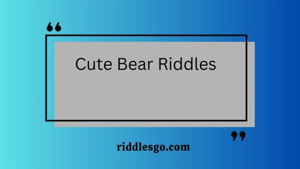 Cute Bear Riddles