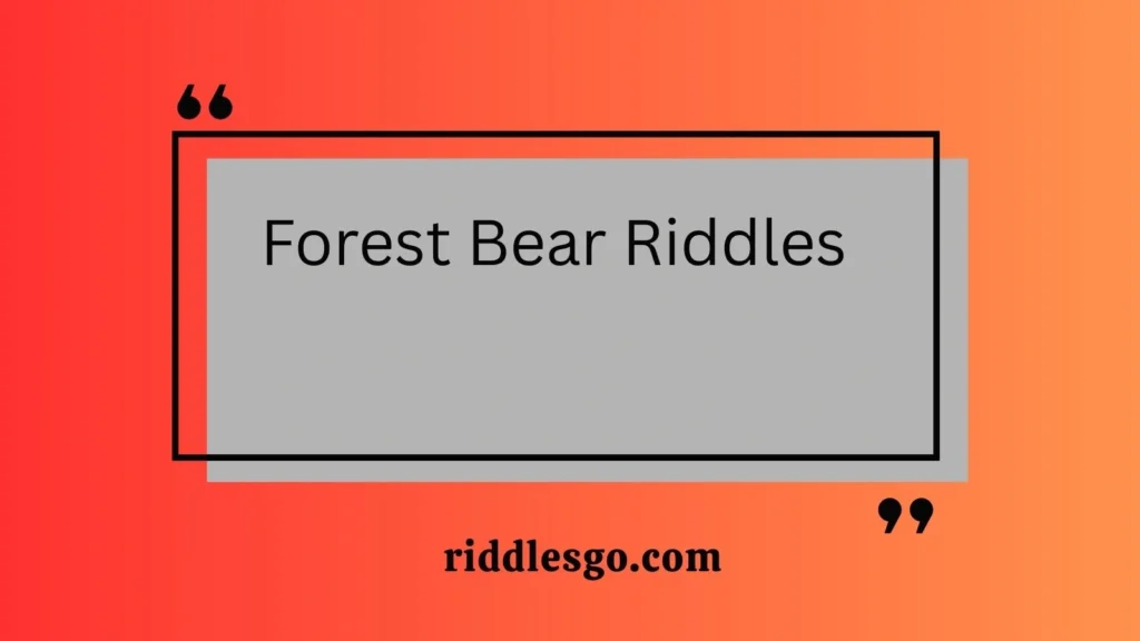 Forest Bear Riddles