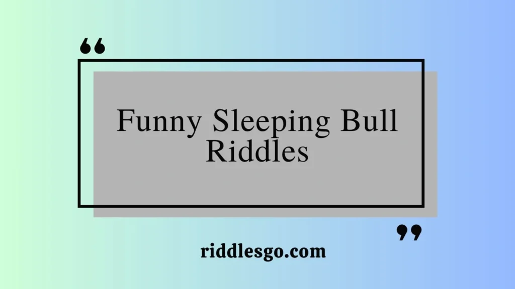 Funny Sleeping Bull Riddles