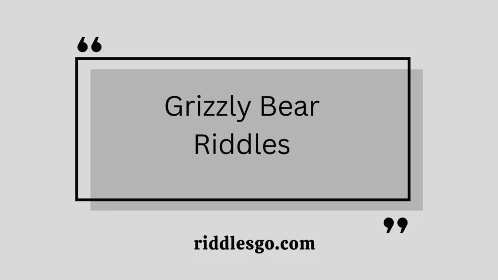 Grizzly Bear Riddles