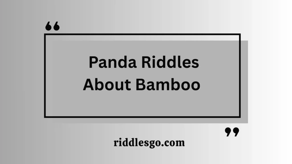 Panda Riddles About Bamboo