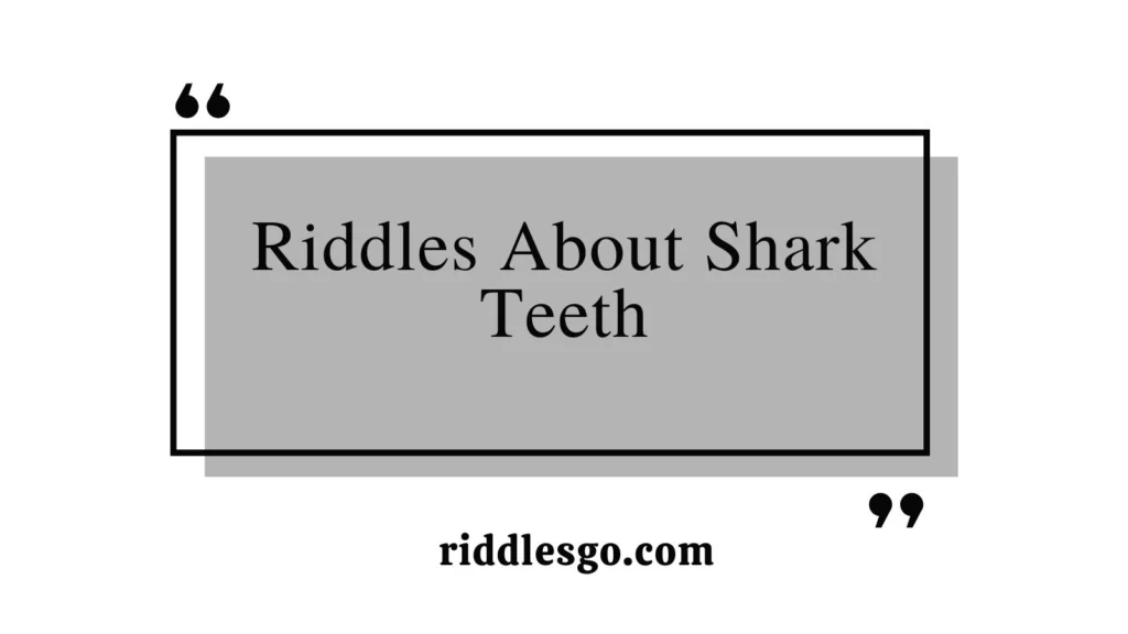 Riddles About Shark Teeth