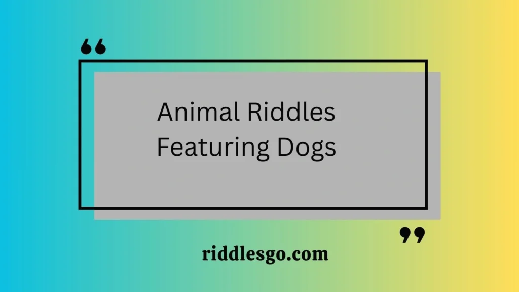 Animal Riddles Featuring Dogs
