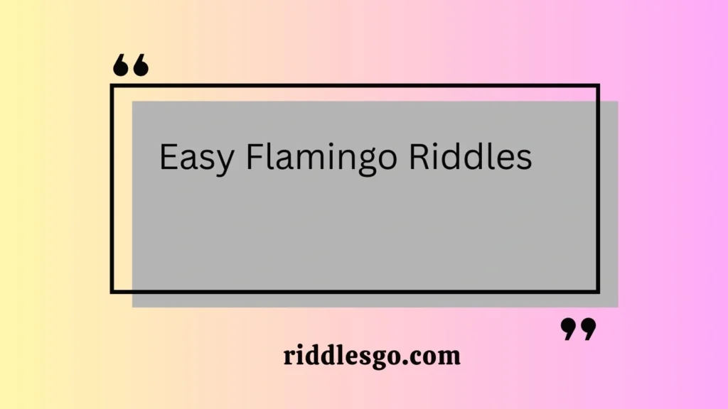 Easy Flamingo Riddles