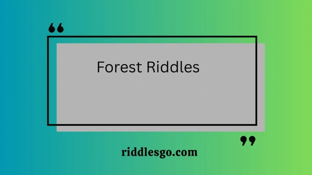 Forest Riddles