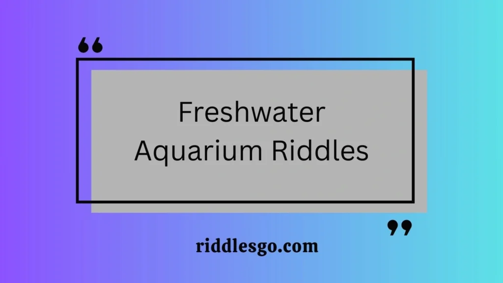 Freshwater Aquarium Riddles
