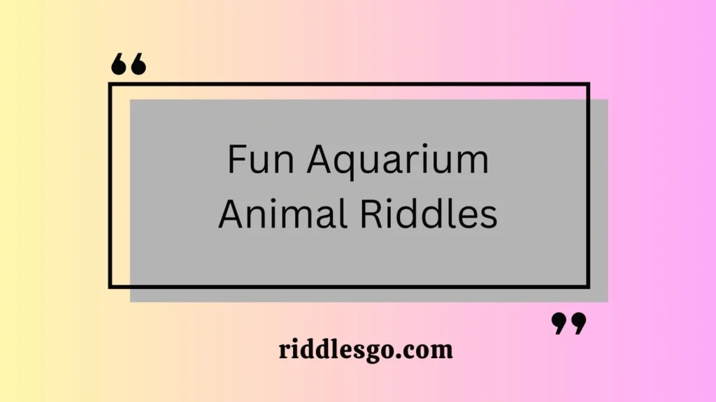 Fun Aquarium Animal Riddles