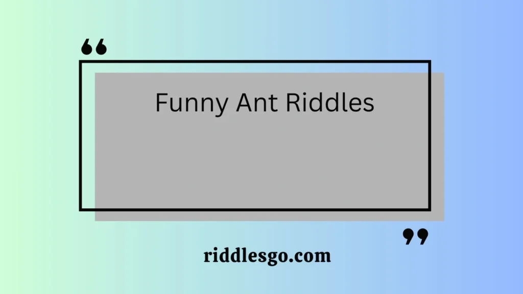 Funny Ant Riddles