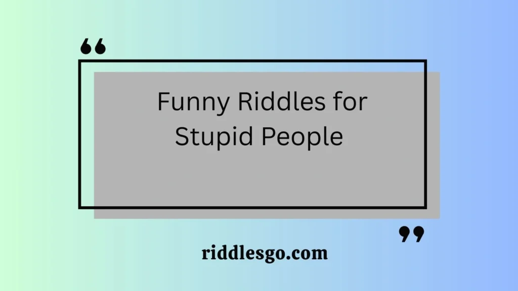 Funny Riddles for Stupid People