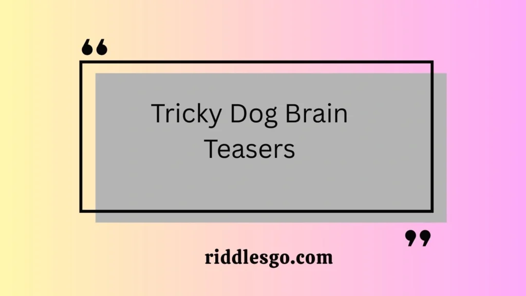 Tricky Dog Brain Teasers