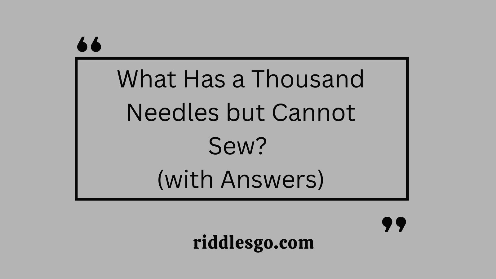 What Has a Thousand Needles but Cannot Sew? (with Answers)