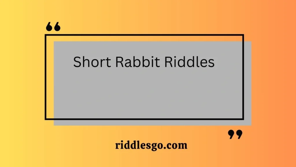 Short Rabbit Riddles