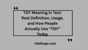 TDY Meaning in Text: Real Definition, Usage, and How People Actually Use “TDY” Today