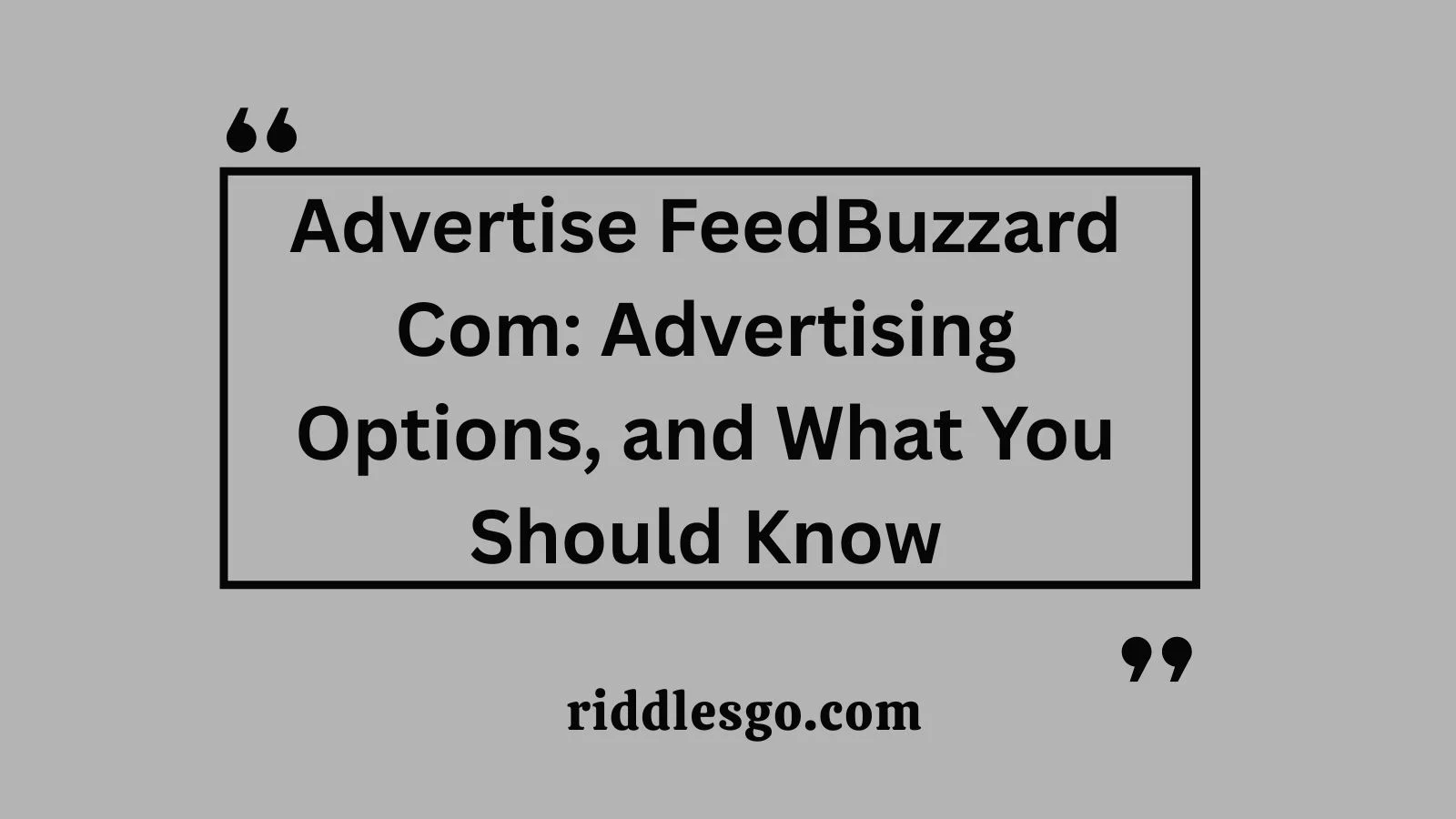 Advertise FeedBuzzard Com: Advertising Options, and What You Should Know